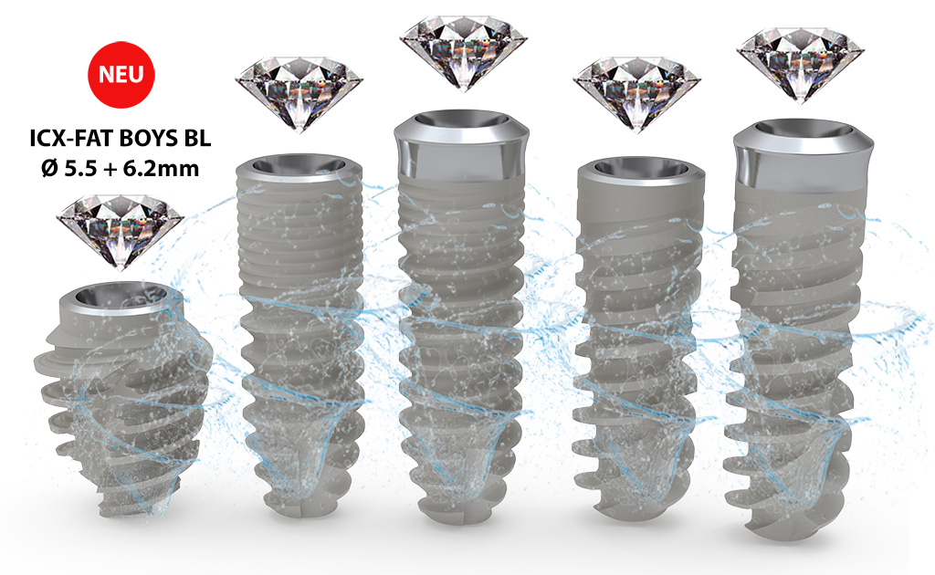 ICX-Diamond Premium / Active Master / FAT BOYS / TUBER / Einzel & Set – BL/TL 